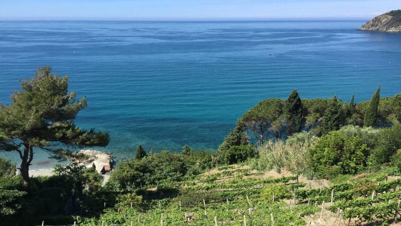 Appartamento A Moneglia, Tra Portofino E Le Cinque Terre Экстерьер фото